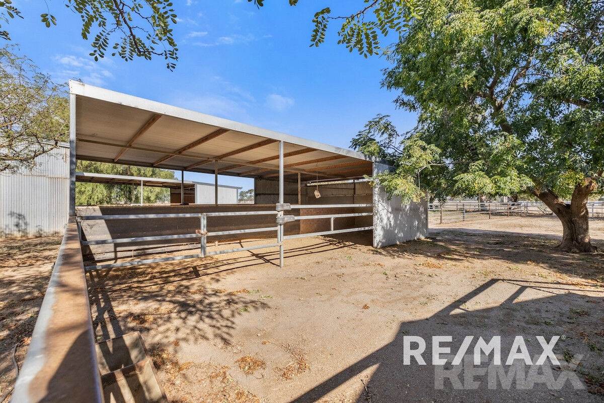 2463 Sturt Highway, Collingullie For Sale by Farmbuy.com - image 23