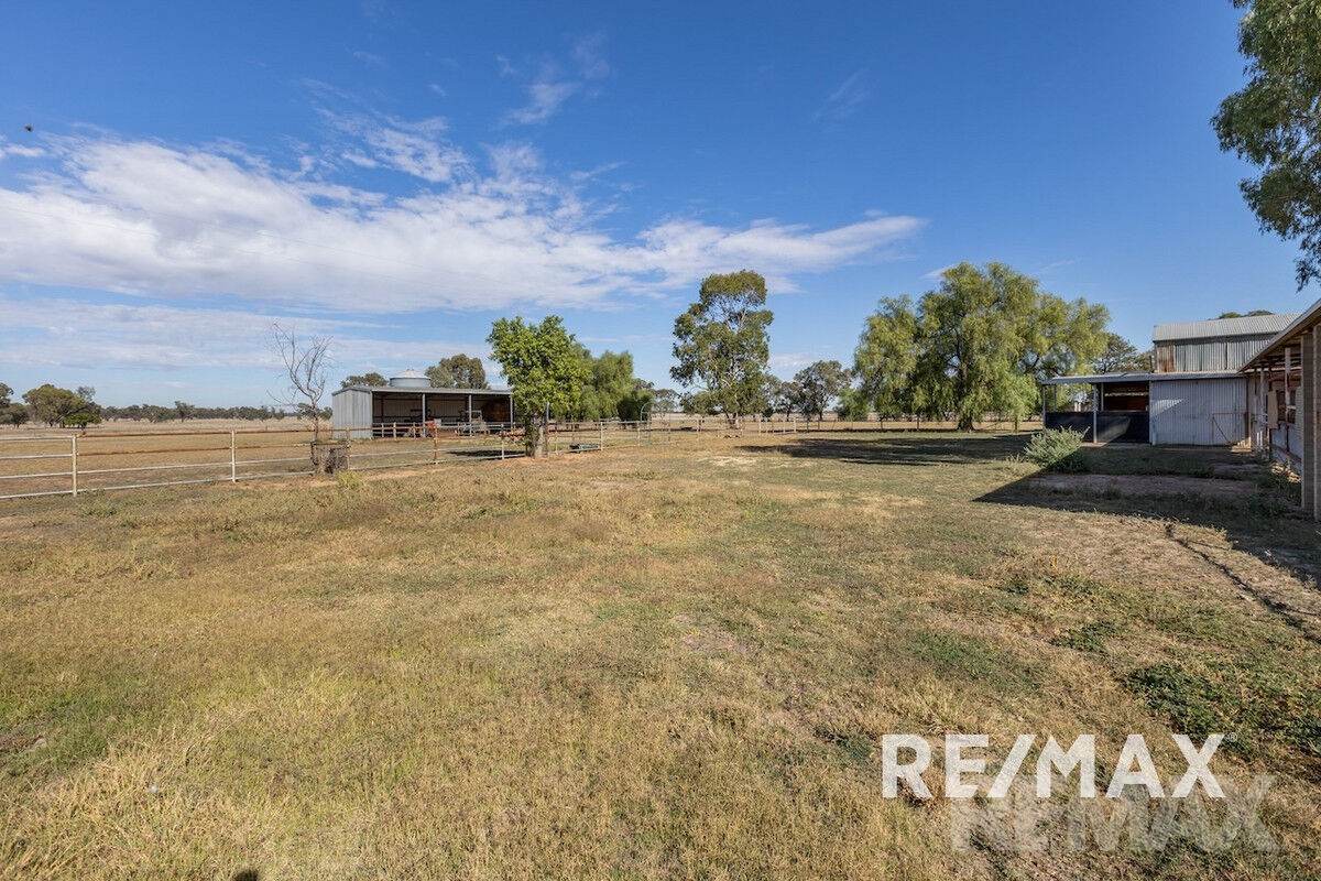 2463 Sturt Highway, Collingullie For Sale by Farmbuy.com - image 18