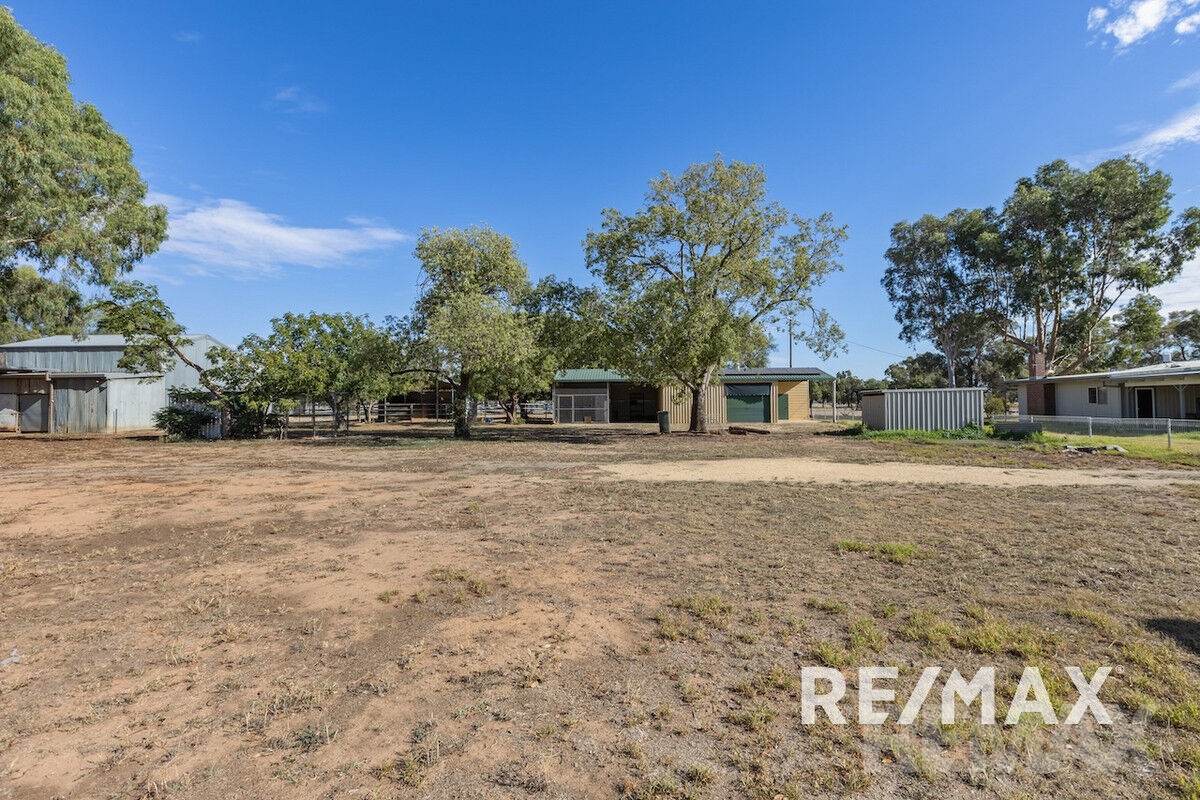 2463 Sturt Highway, Collingullie For Sale by Farmbuy.com - image 17