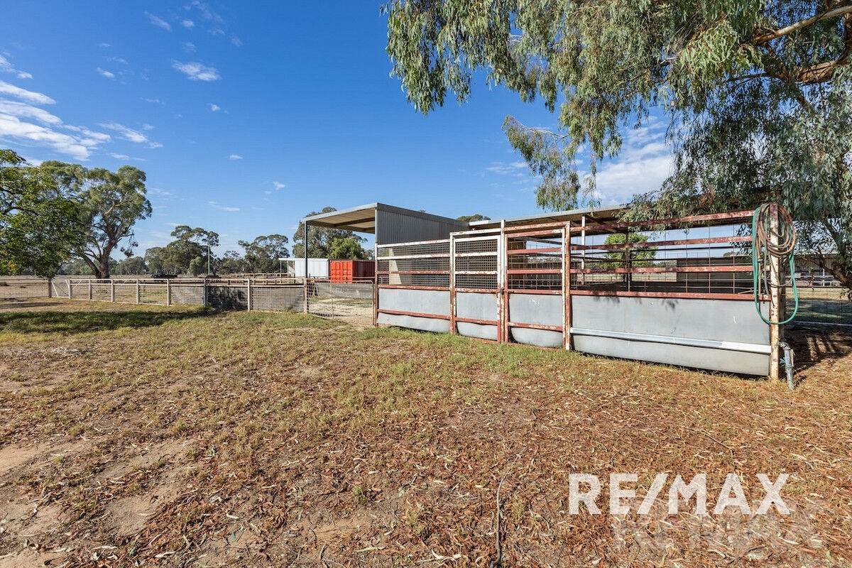 2463 Sturt Highway, Collingullie For Sale by Farmbuy.com - image 25
