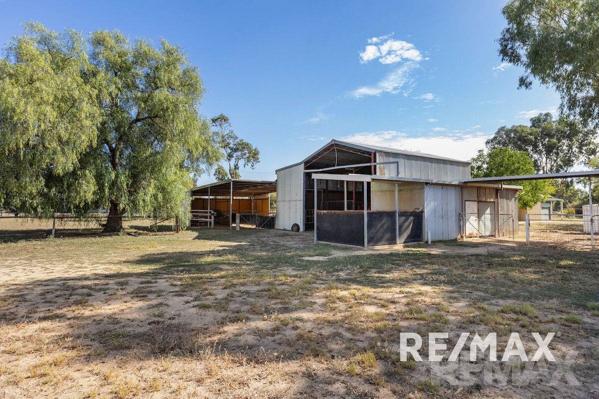 2463 Sturt Highway, Collingullie For Sale by Farmbuy.com - image 28