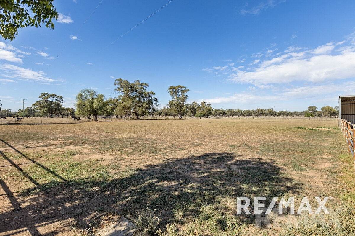 2463 Sturt Highway, Collingullie For Sale by Farmbuy.com - image 3
