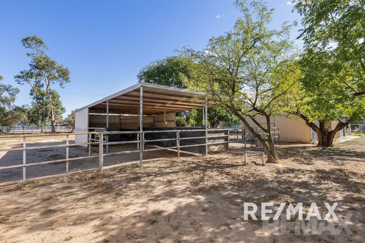 2463 Sturt Highway, Collingullie For Sale by Farmbuy.com - image 19