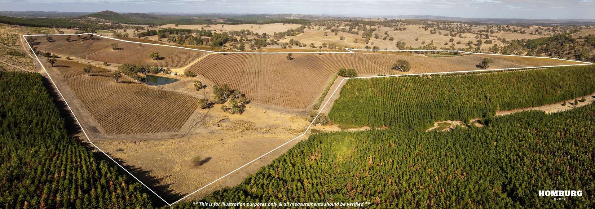 453 Springton Road, Pewsey Vale Sold by Farmbuy.com - image 11