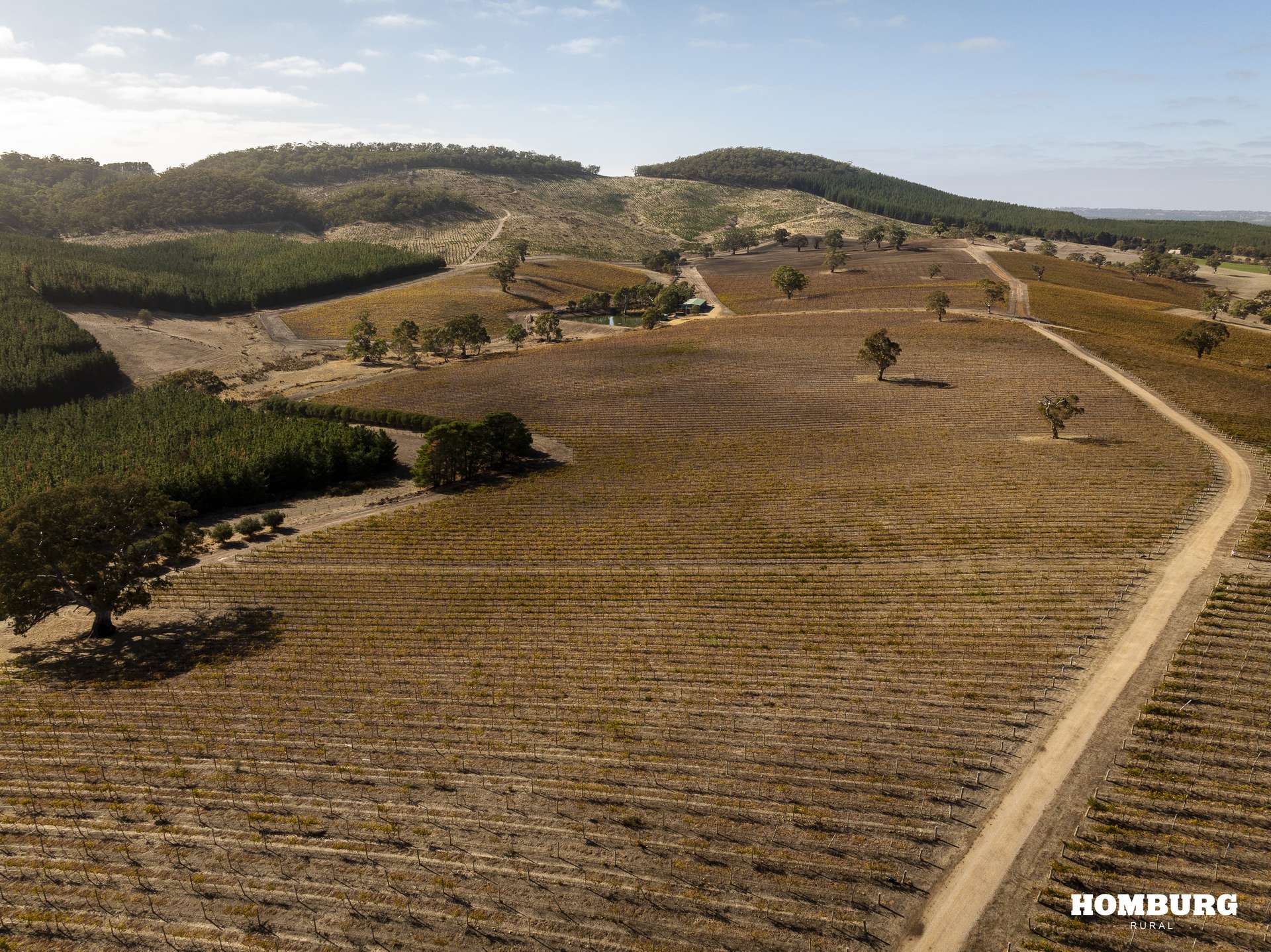 453 Springton Road, Pewsey Vale Sold by Farmbuy.com - image 6