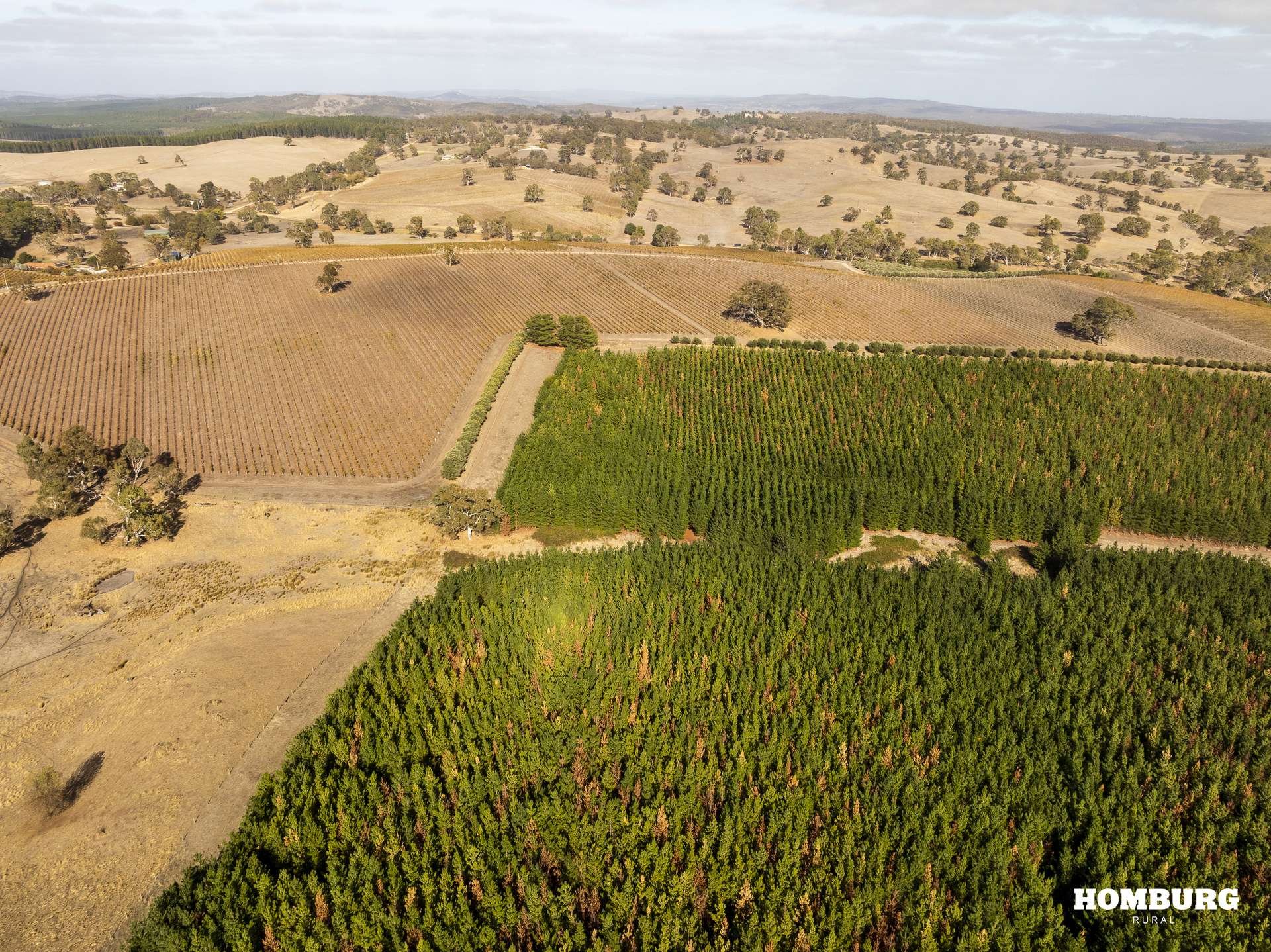 453 Springton Road, Pewsey Vale Sold by Farmbuy.com - image 7