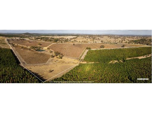 Farm Sold - SA - Pewsey Vale - 5351 - Secure Commercial Vineyard Opportunity 