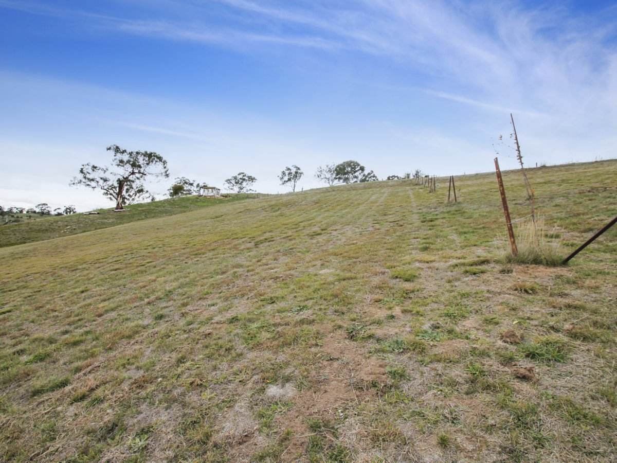 Lot Lot 64, 11 Wills Street, Omeo For Sale by Farmbuy.com - image 5