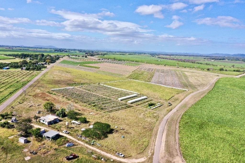 294 Mountainview Road, Airville QLD 4807