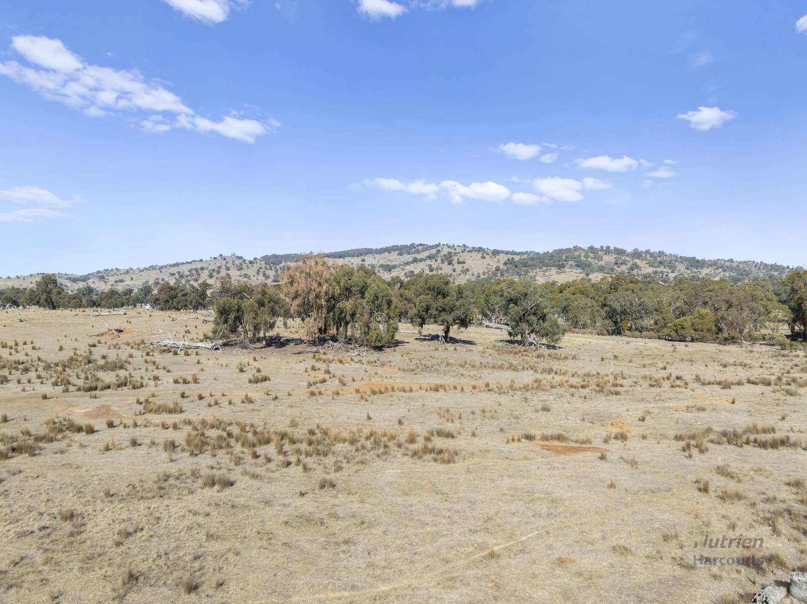 Lot 1 Cusack Road, Euroa For Sale by Farmbuy.com - image 9