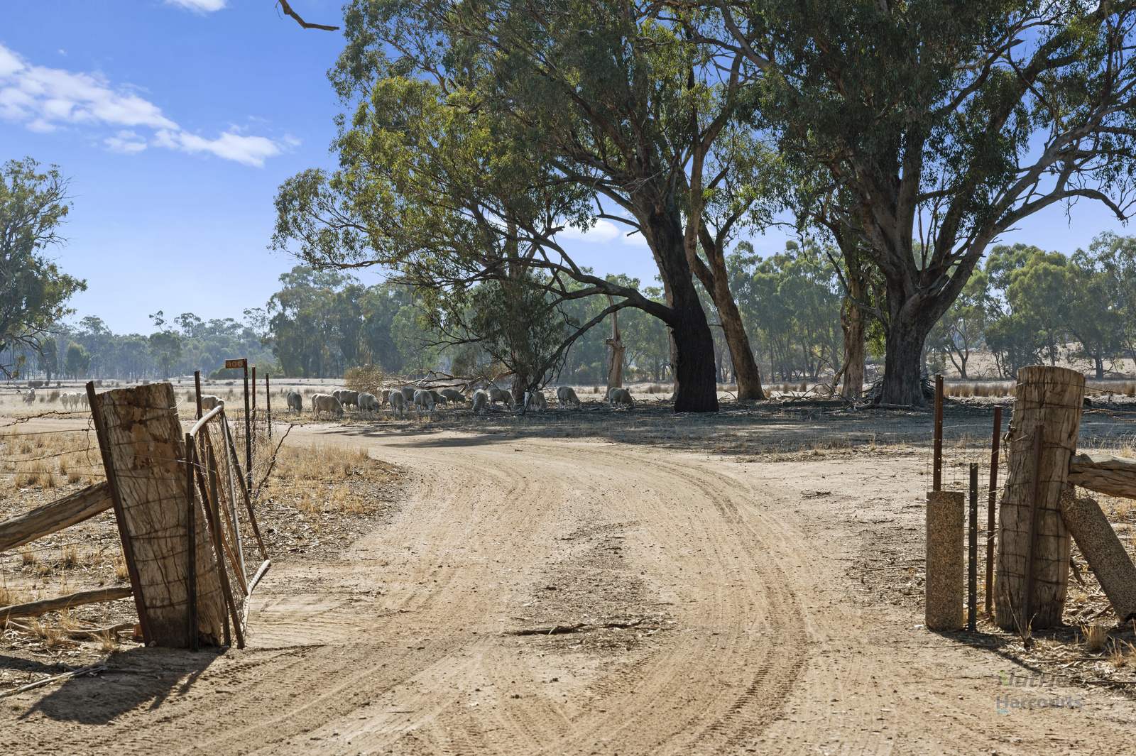 Lot 1 Cusack Road, Euroa For Sale by Farmbuy.com - image 6