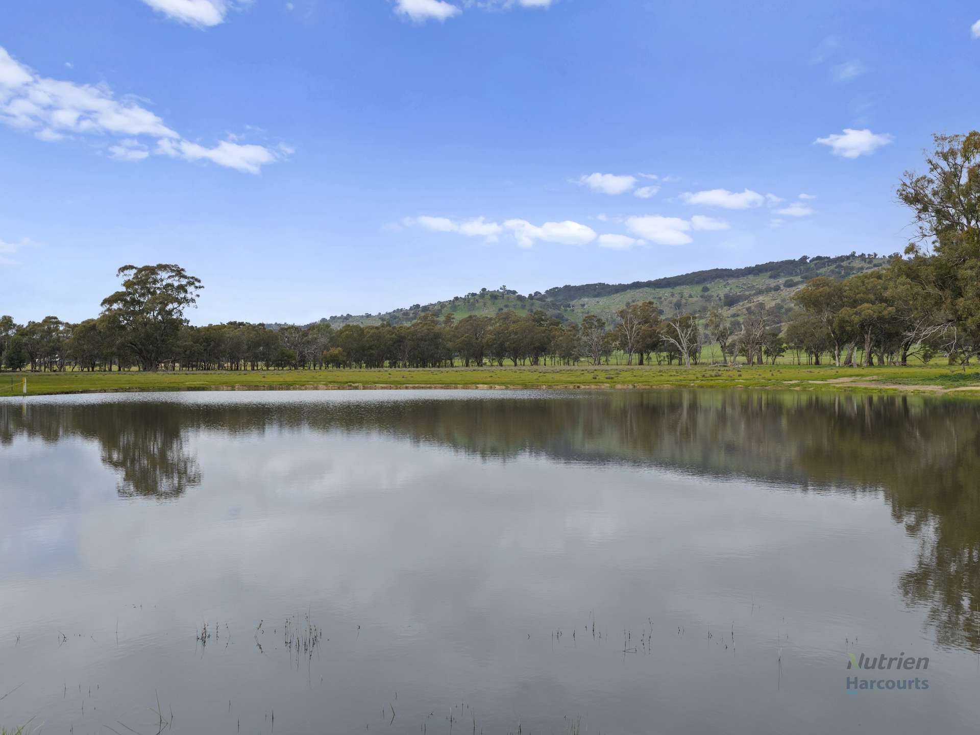 Lot 1 Cusack Road, Euroa For Sale by Farmbuy.com - image 3