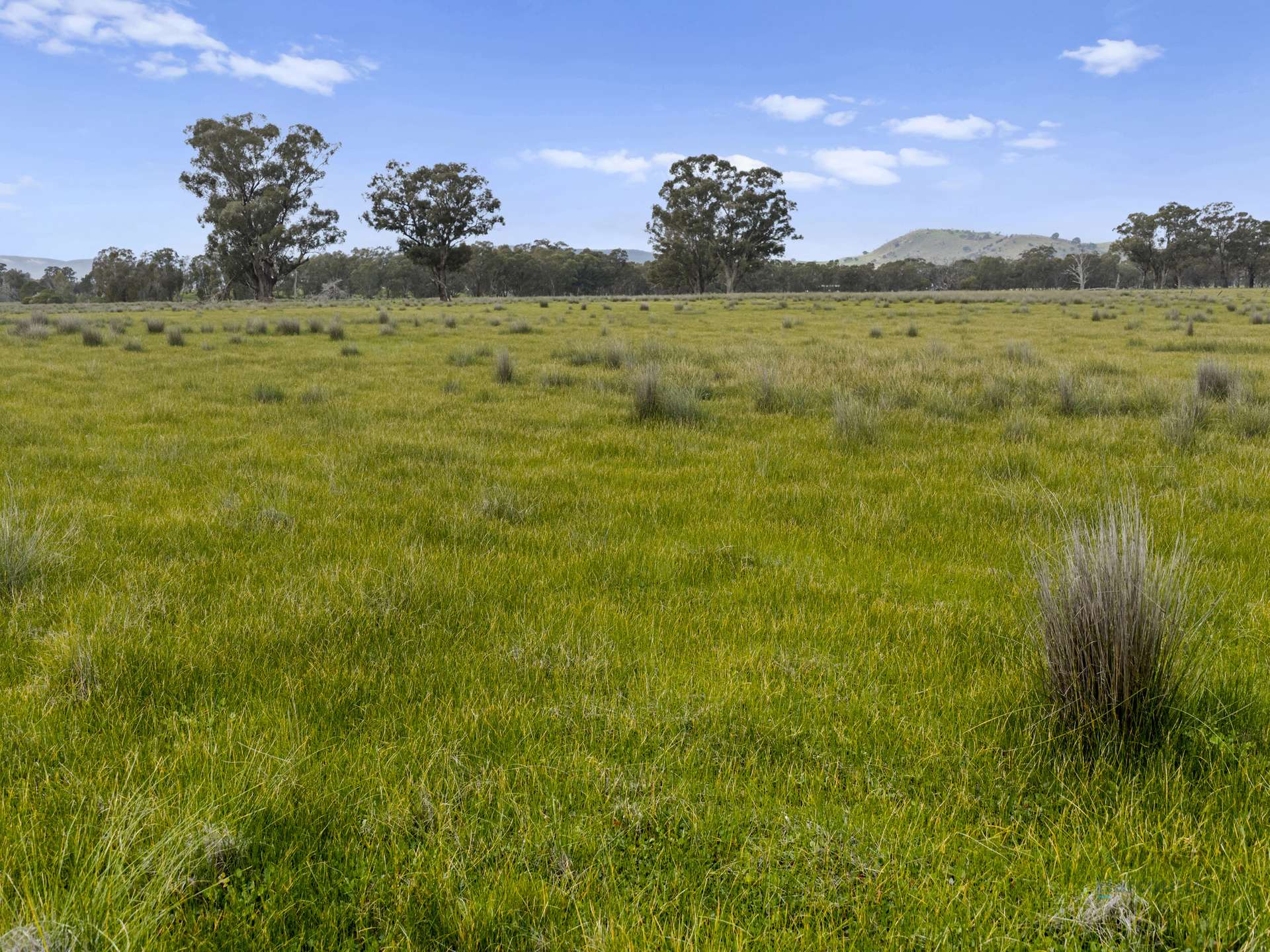 Lot 1 Cusack Road, Euroa For Sale by Farmbuy.com - image 4