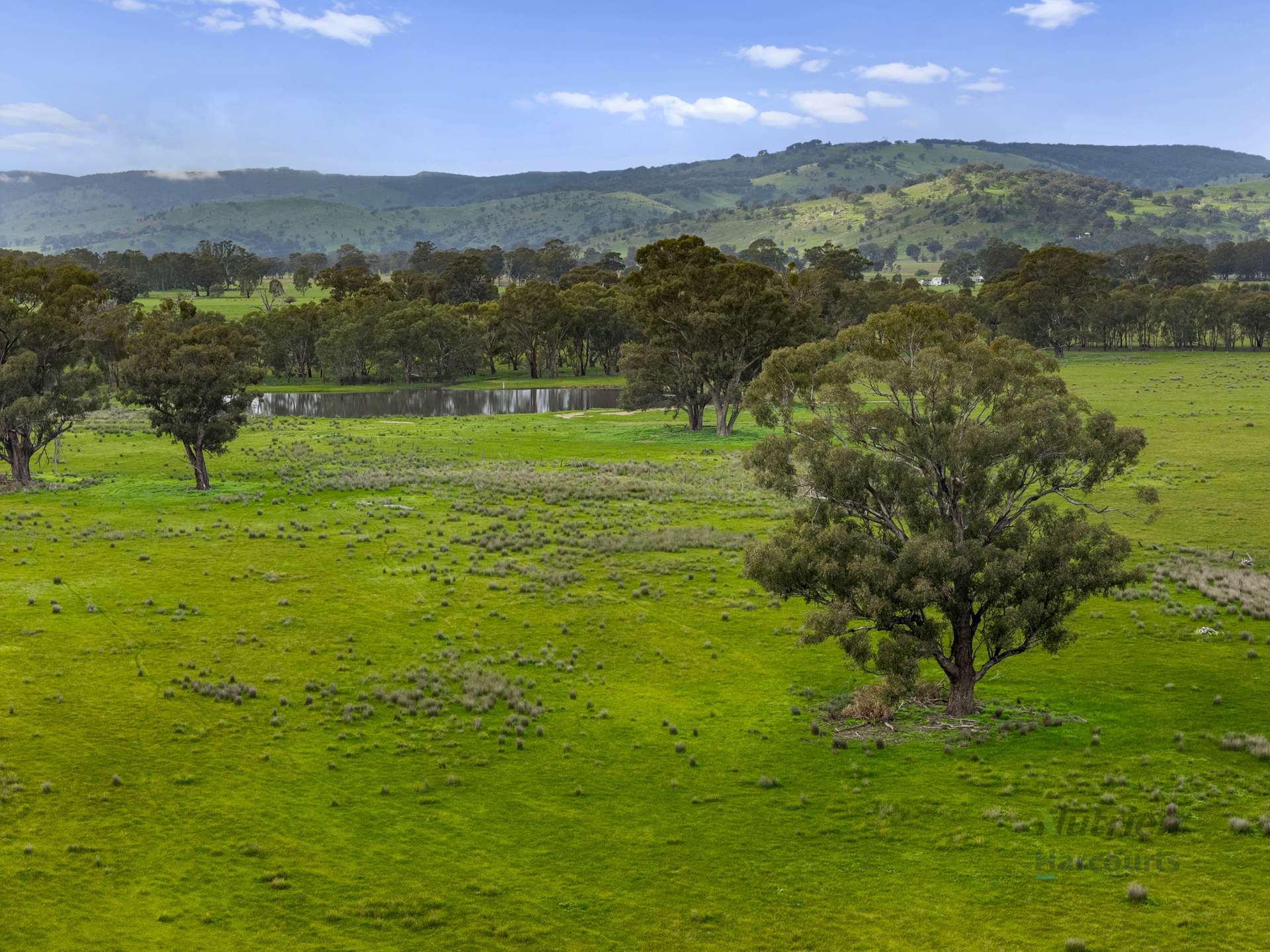 Lot 1 Cusack Road, Euroa For Sale by Farmbuy.com - image 2