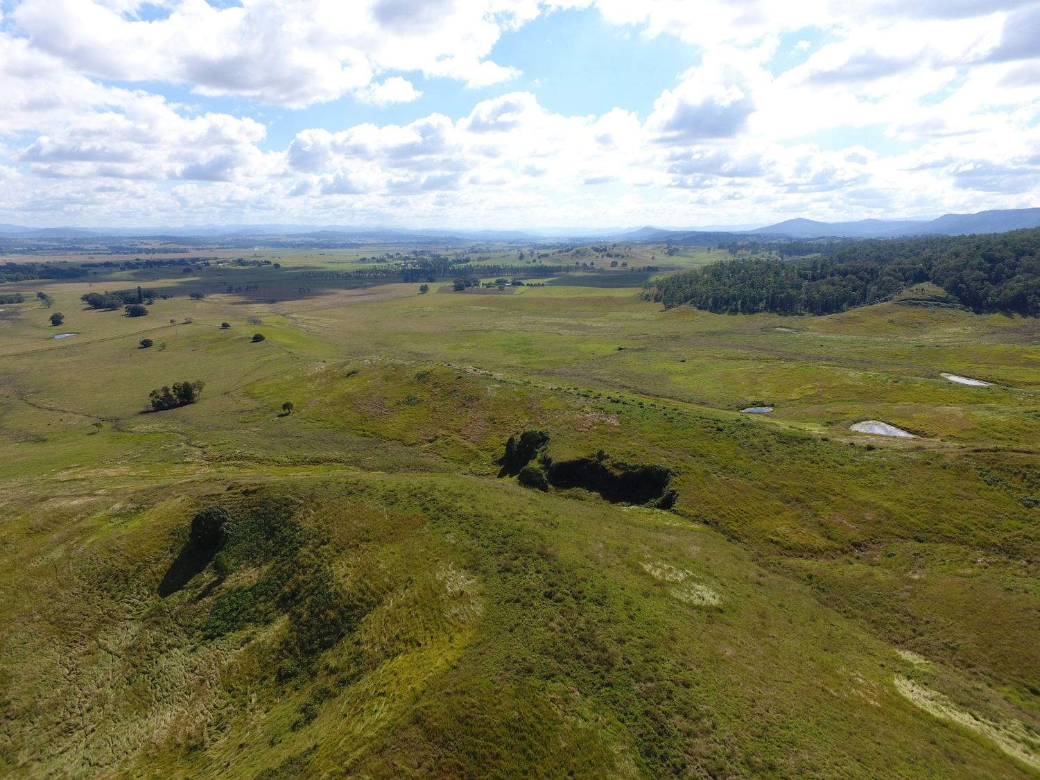 730 Reynolds Road, Backmede For Sale by Farmbuy.com - image 16