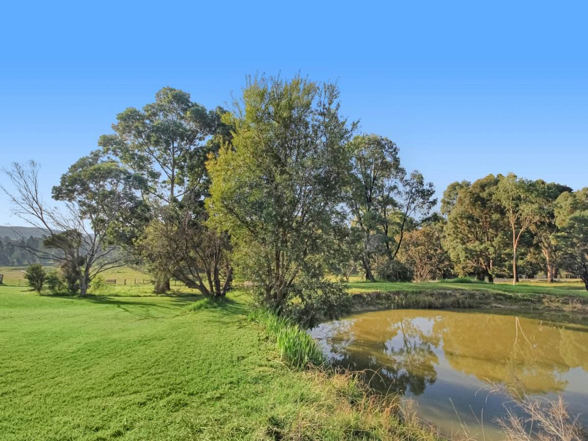 35 Crawford Court, Sarsfield Sold by Farmbuy.com - image 15