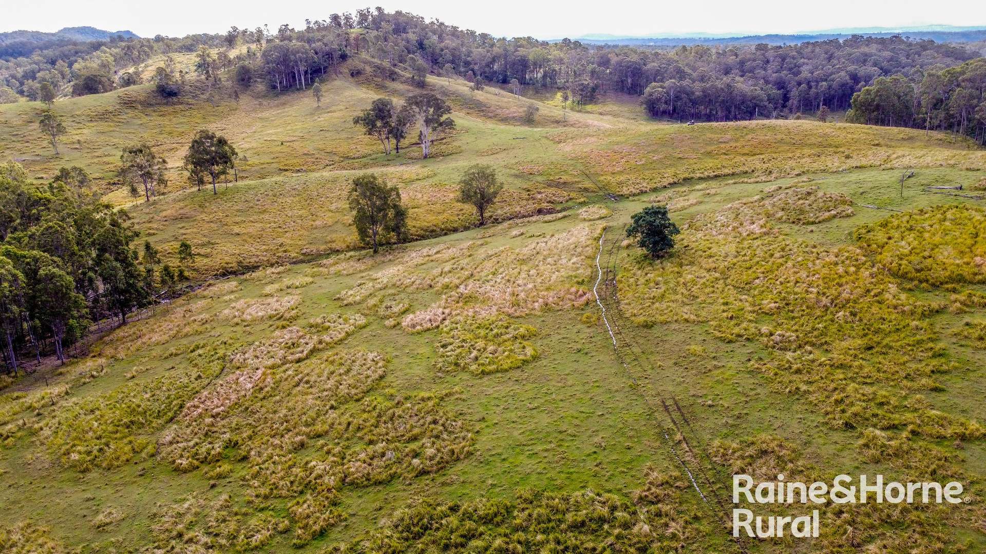 5244 Bruxner Highway, Mummulgum For Sale by Farmbuy.com - image 3