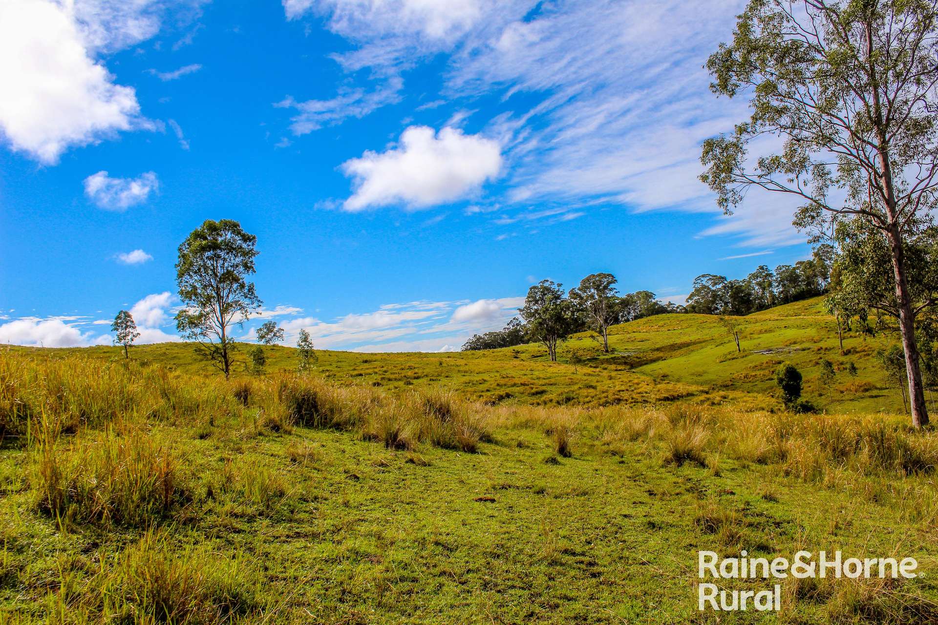 5244 Bruxner Highway, Mummulgum For Sale by Farmbuy.com - image 17