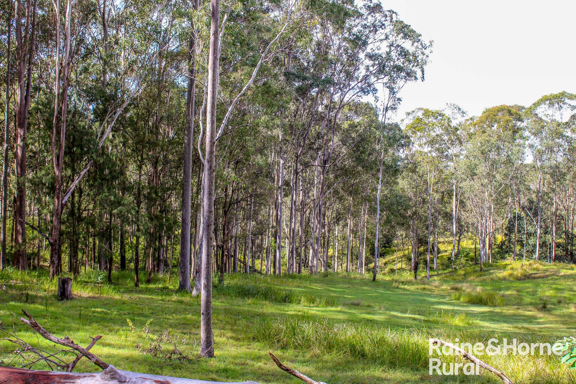 5244 Bruxner Highway, Mummulgum For Sale by Farmbuy.com - image 24