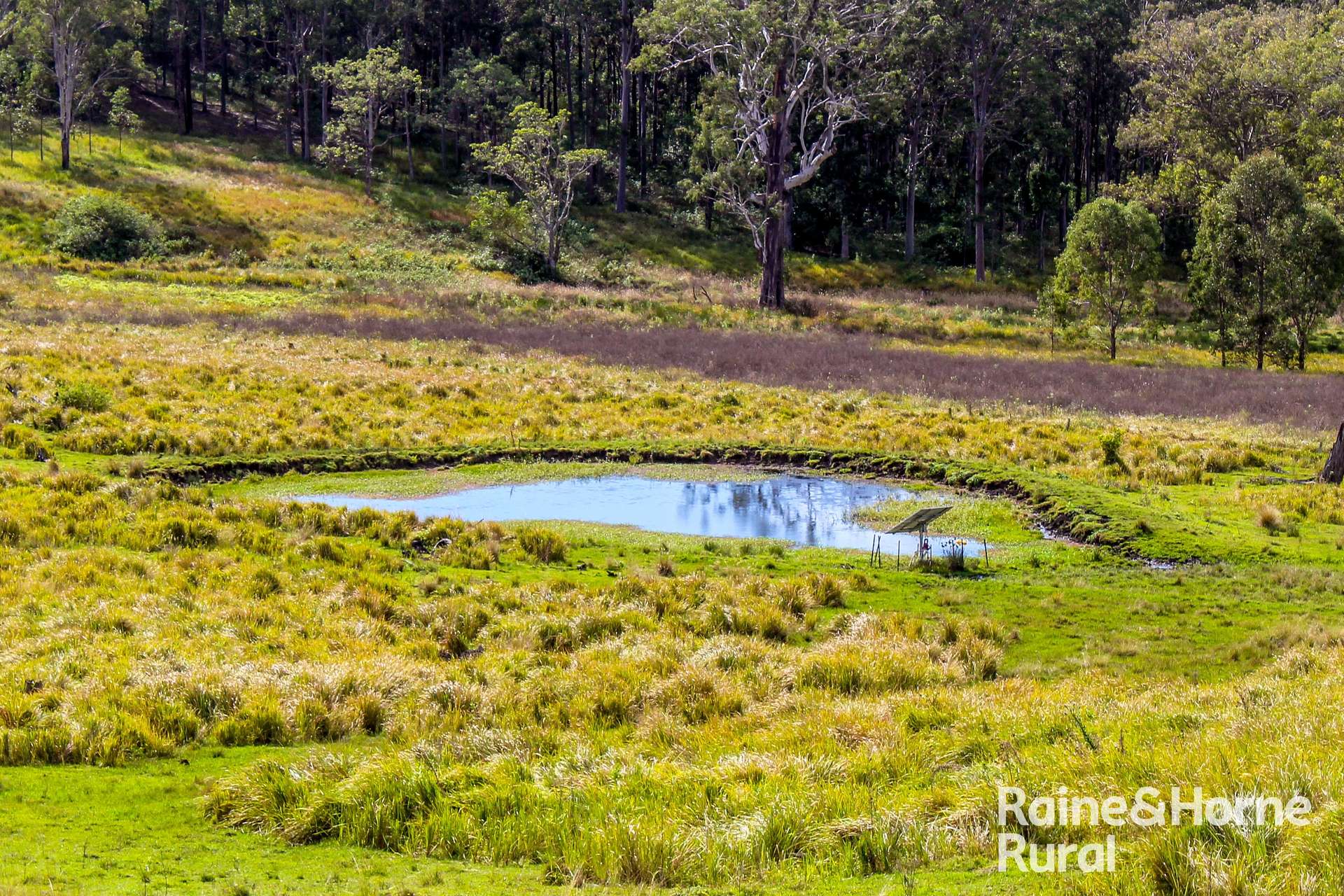 5244 Bruxner Highway, Mummulgum For Sale by Farmbuy.com - image 18
