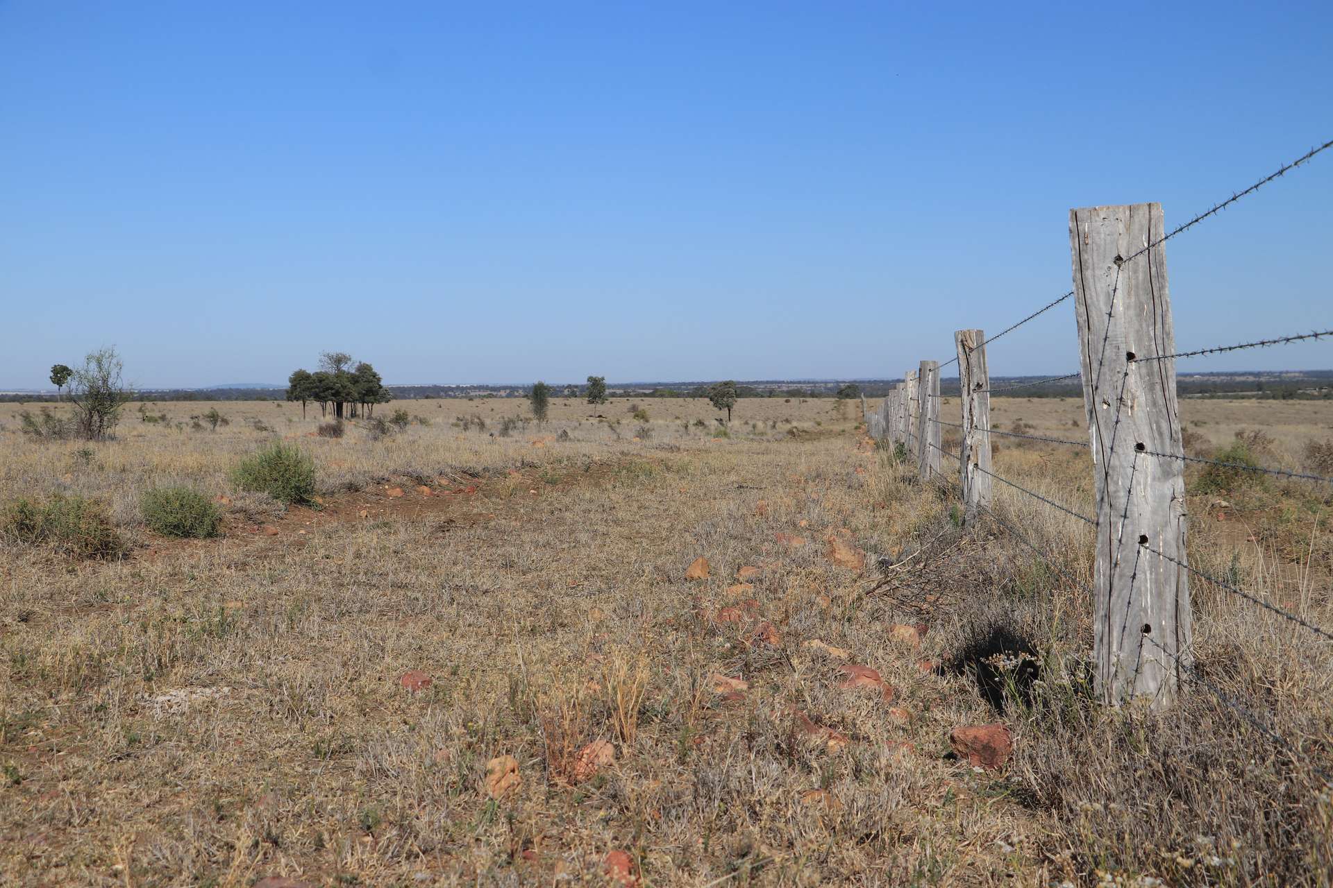 564 Orallo Road, Roma Tender by Farmbuy.com - image 16