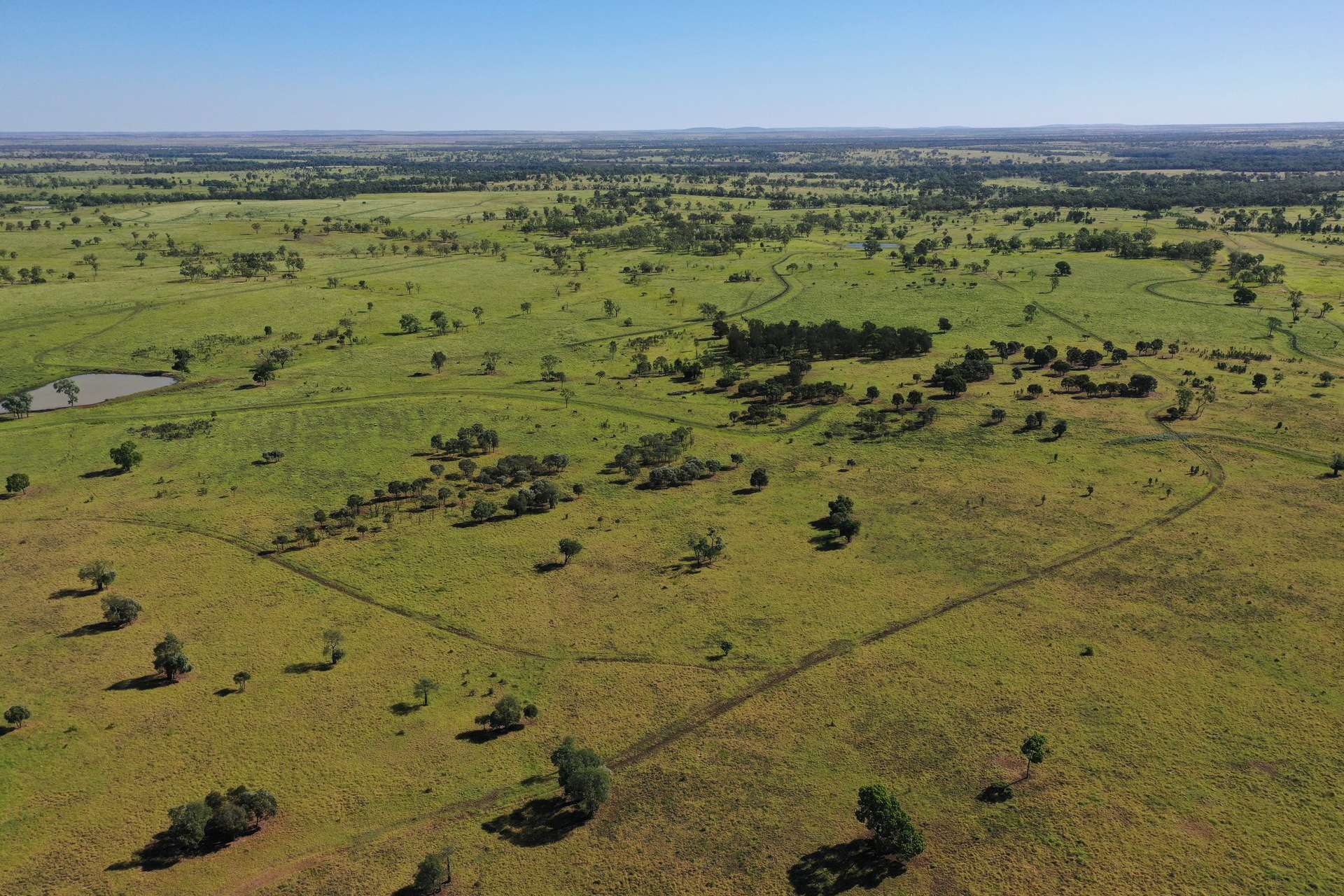 Roma For Sale by Farmbuy.com - image 13