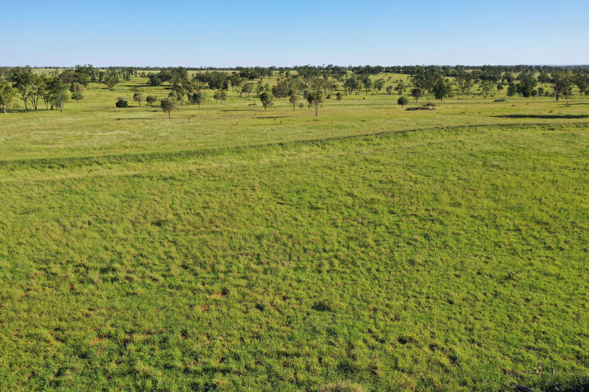 Roma For Sale by Farmbuy.com - image 20