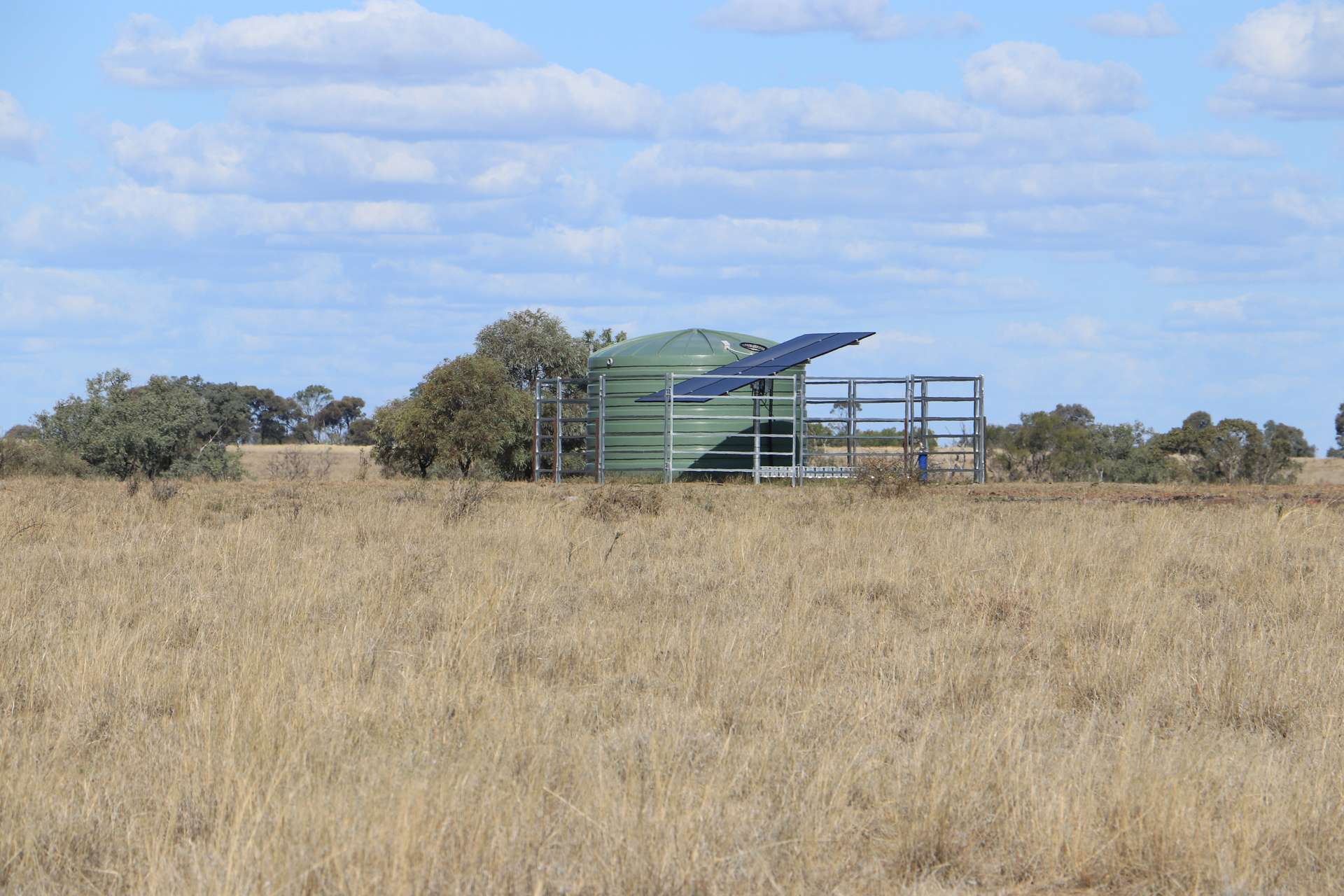 564 Orallo Road, Roma Tender by Farmbuy.com - image 11