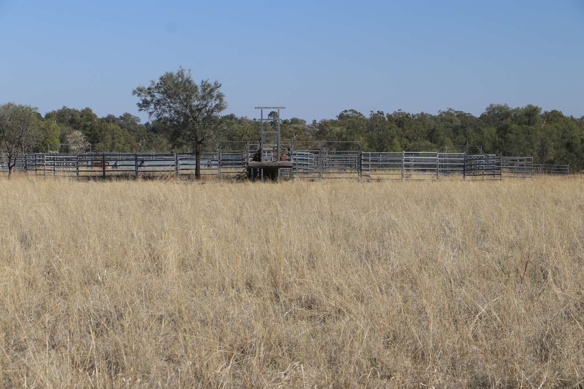 564 Orallo Road, Roma Tender by Farmbuy.com - image 27