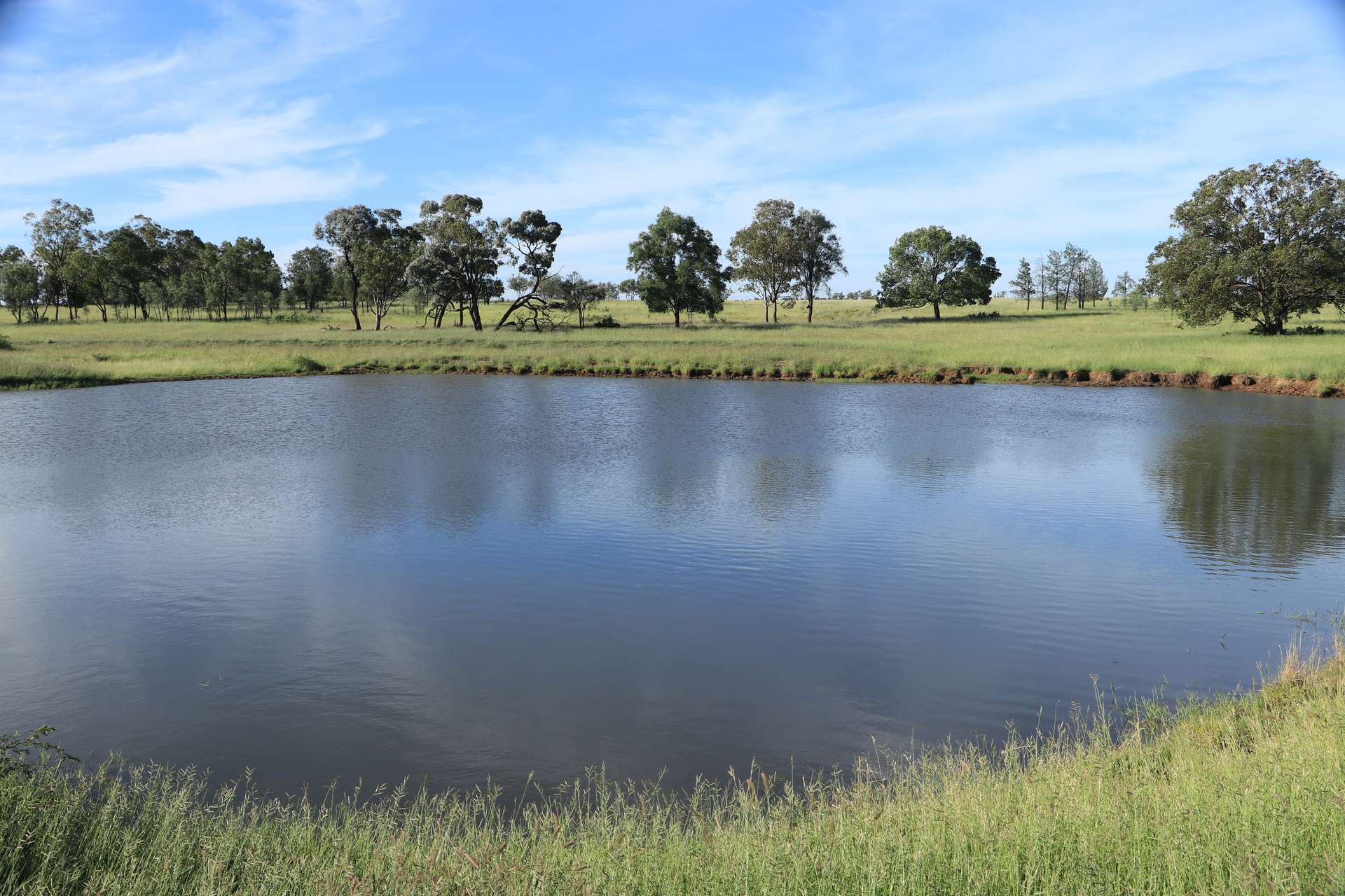 Roma For Sale by Farmbuy.com - image 17