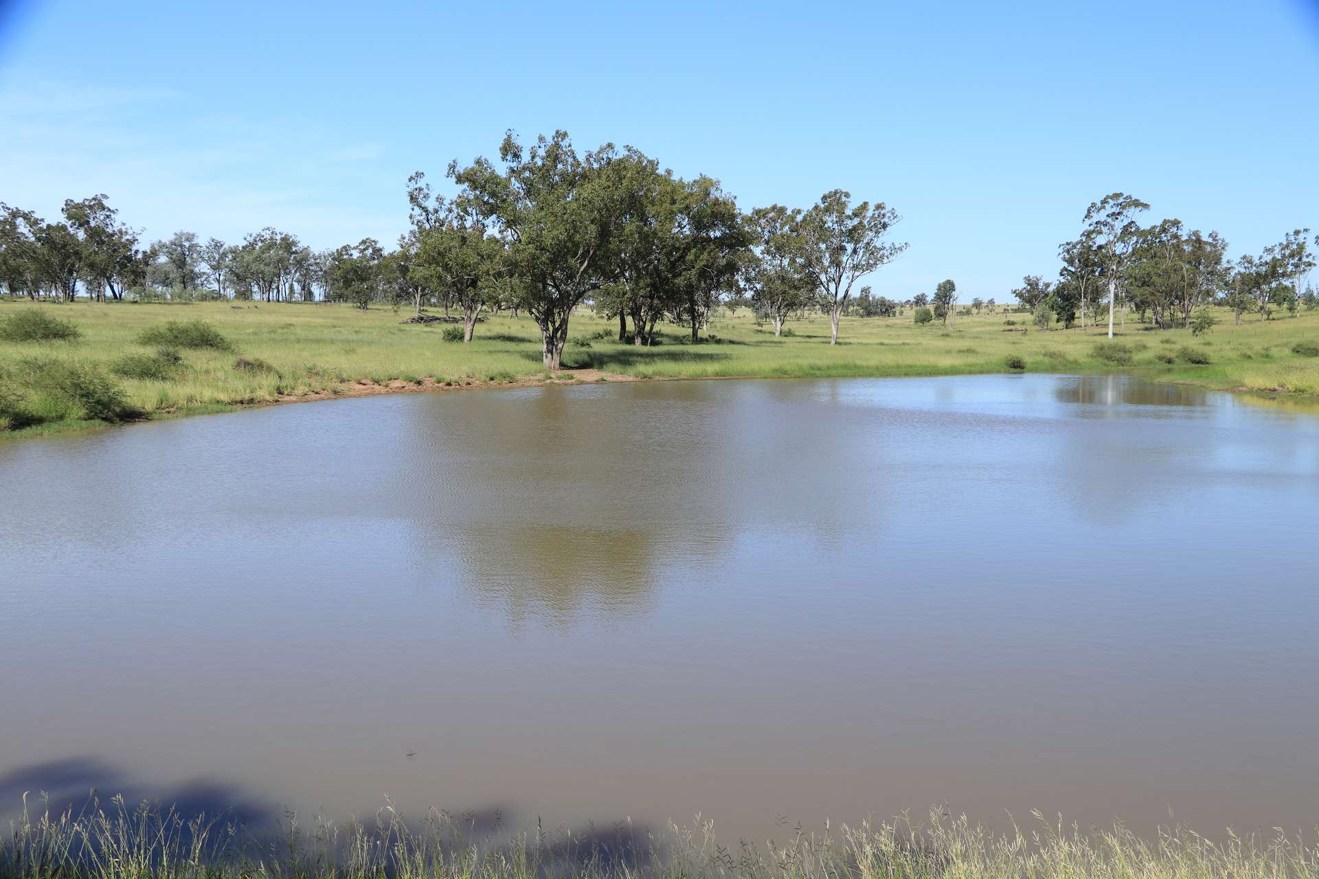 Roma Auction by Farmbuy.com - image 4