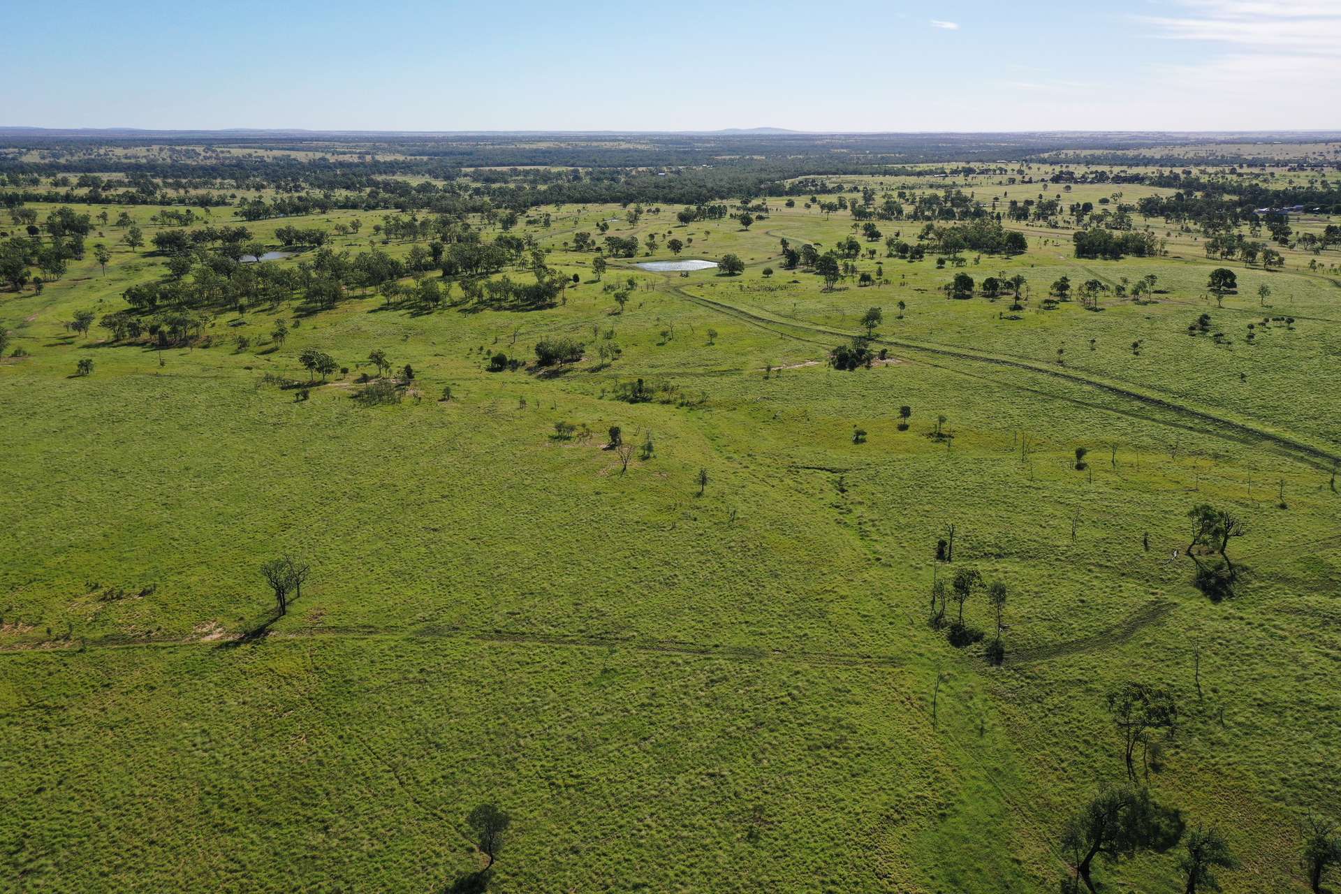 Roma For Sale by Farmbuy.com - image 7