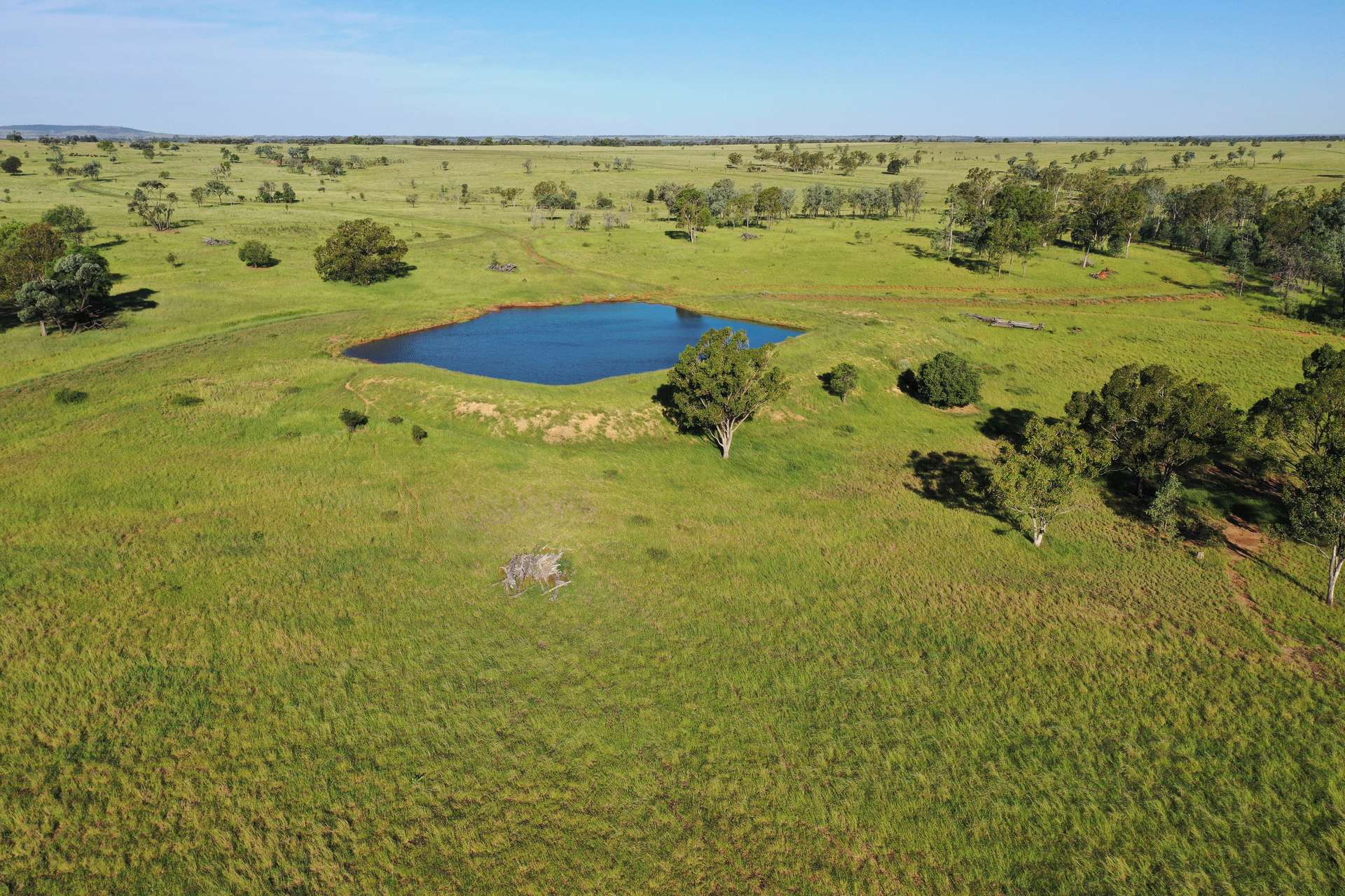 Roma For Sale by Farmbuy.com - image 15