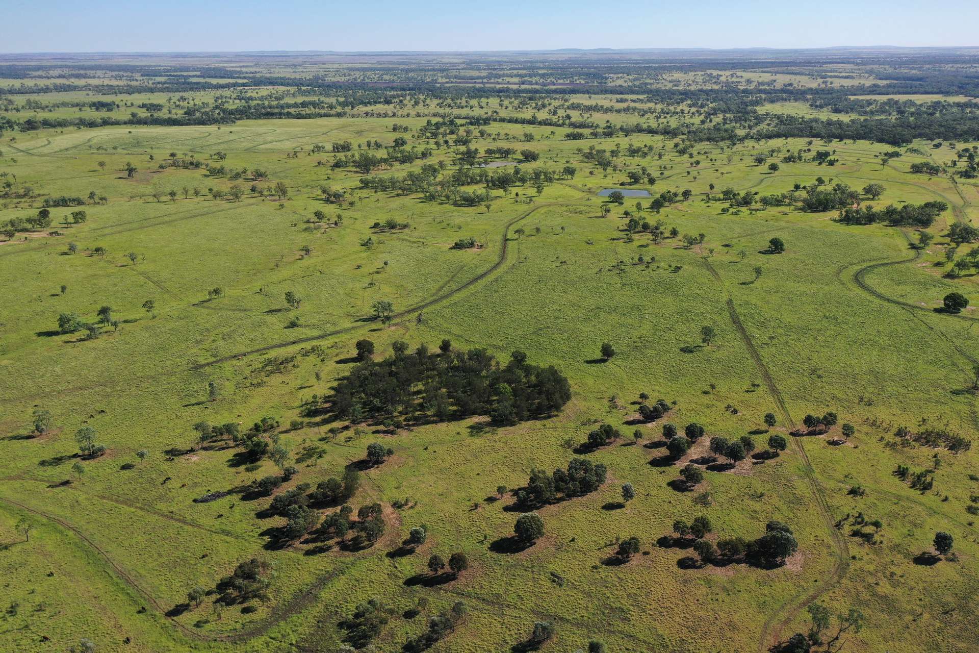 Roma For Sale by Farmbuy.com - image 25