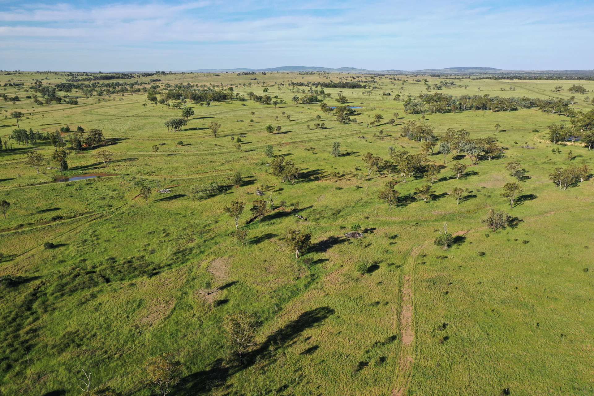 Roma For Sale by Farmbuy.com - image 21