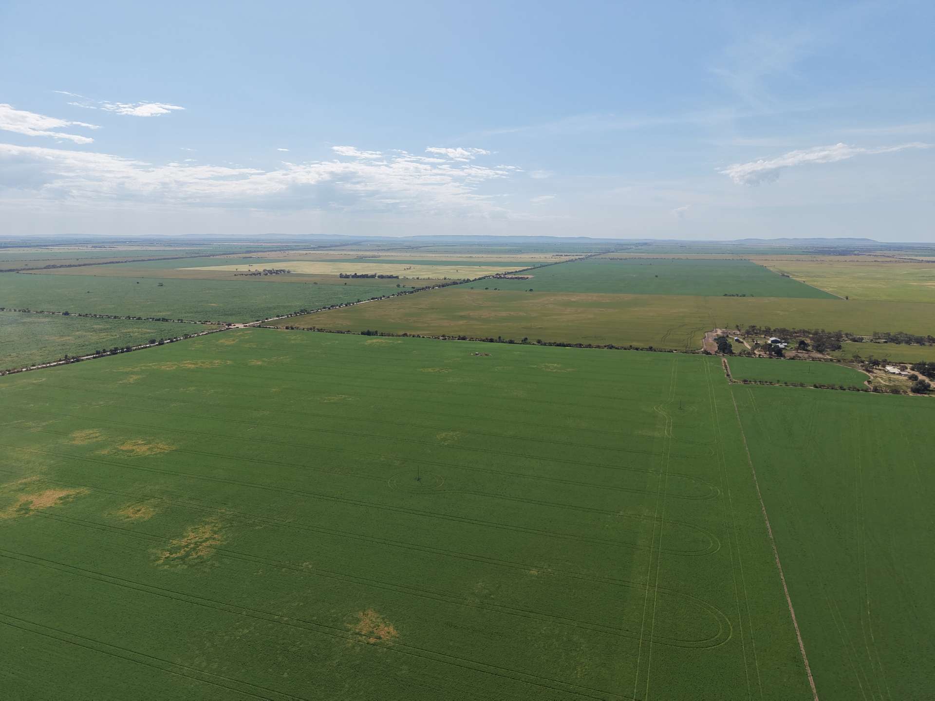 Section 239 Beare Road, Kadina For Sale by Farmbuy.com - image 7