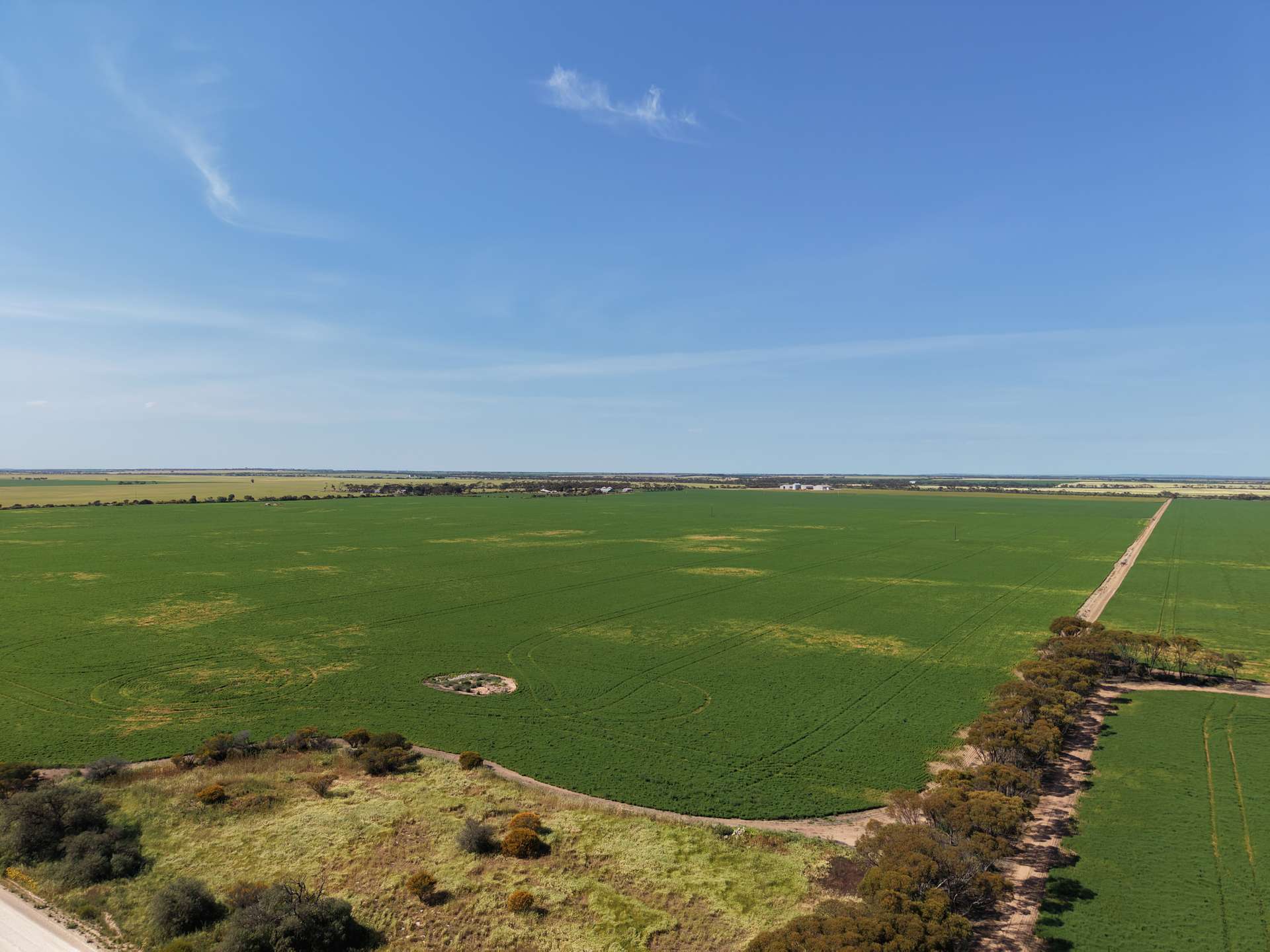 Section 239 Beare Road, Kadina For Sale by Farmbuy.com - image 2