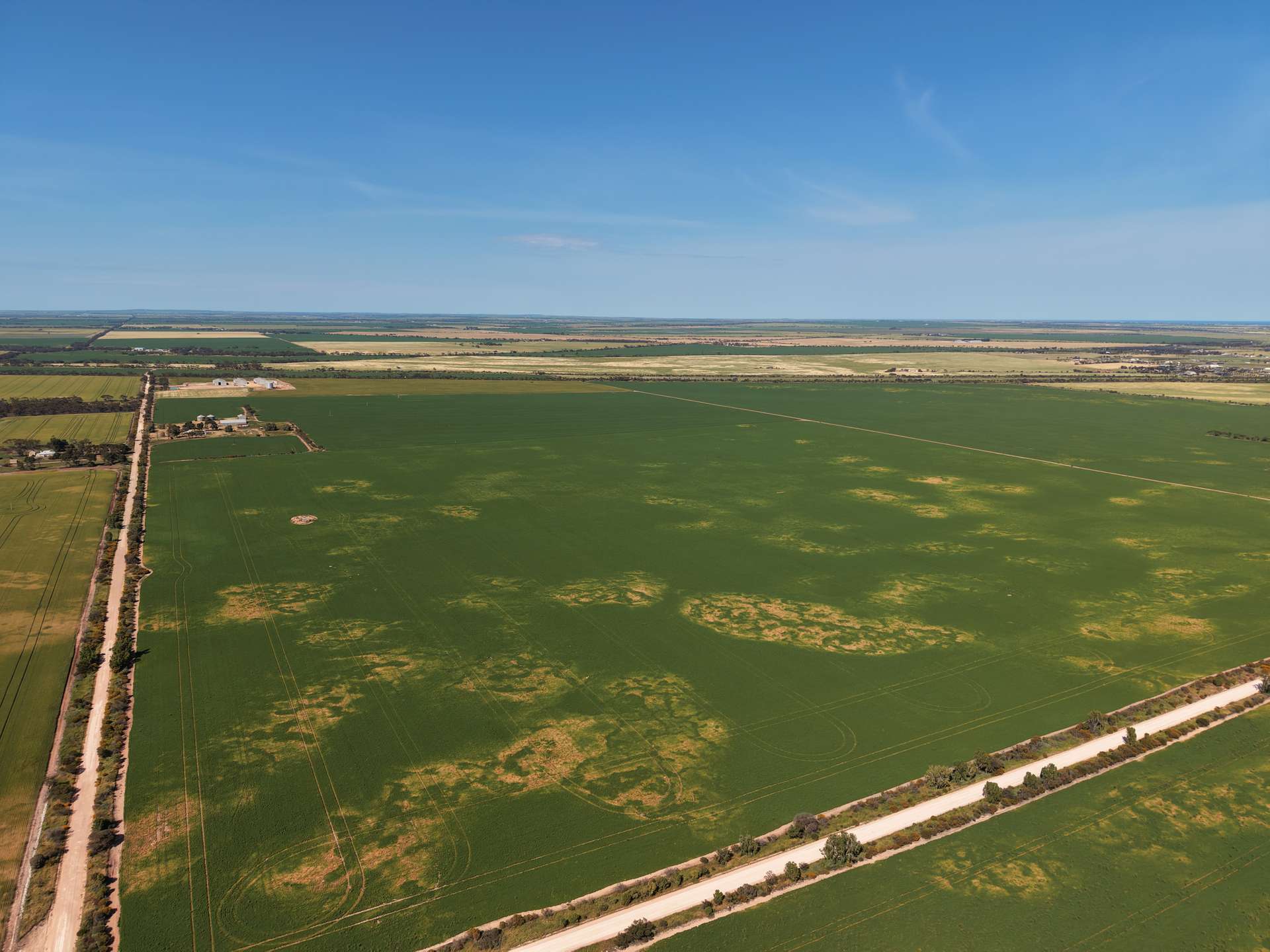 Section 239 Beare Road, Kadina For Sale by Farmbuy.com - image 4