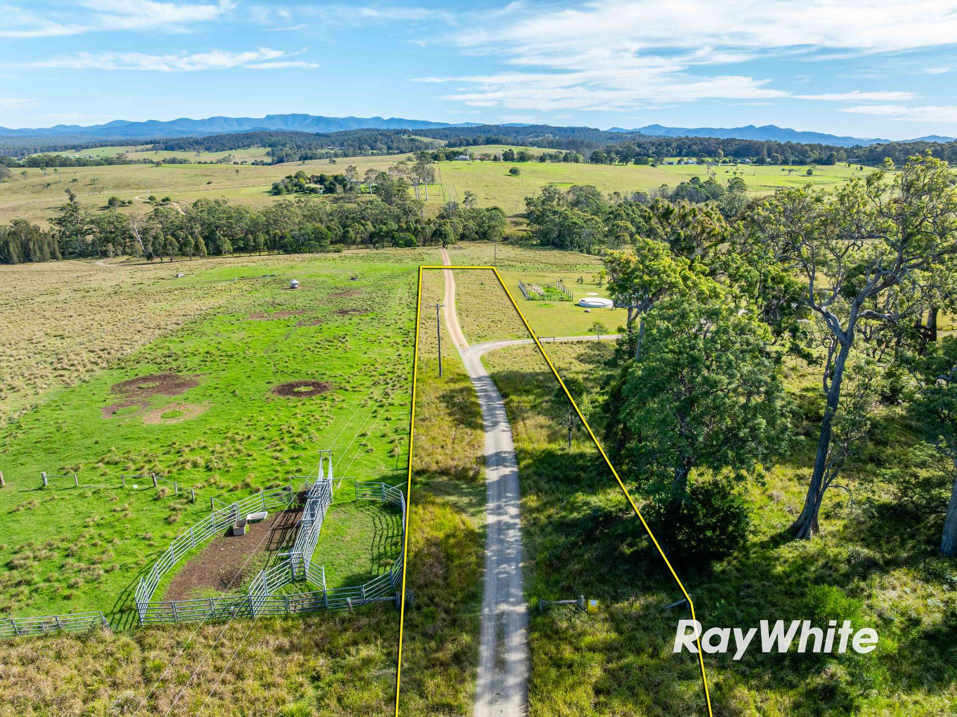 Bergalia For Sale by Farmbuy.com - image 19