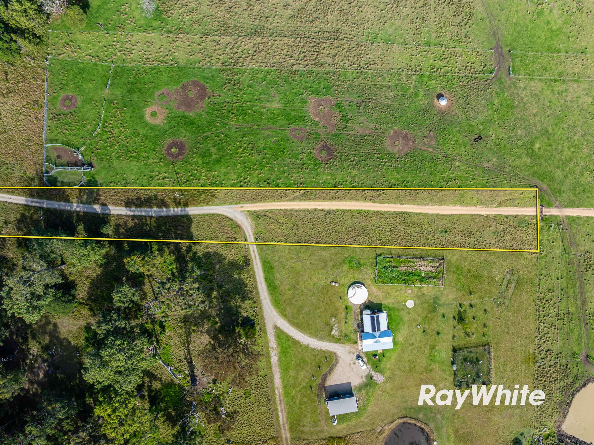Bergalia For Sale by Farmbuy.com - image 16