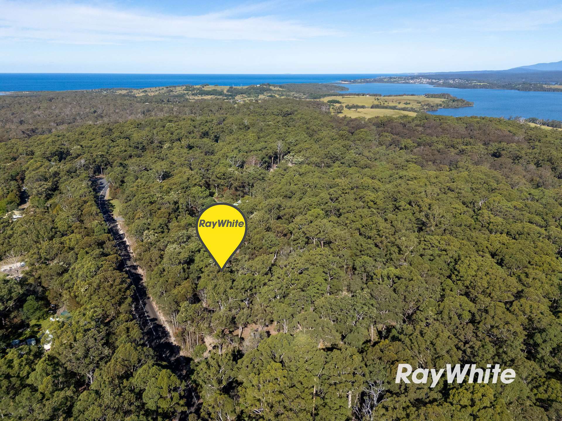Bergalia For Sale by Farmbuy.com - image 8