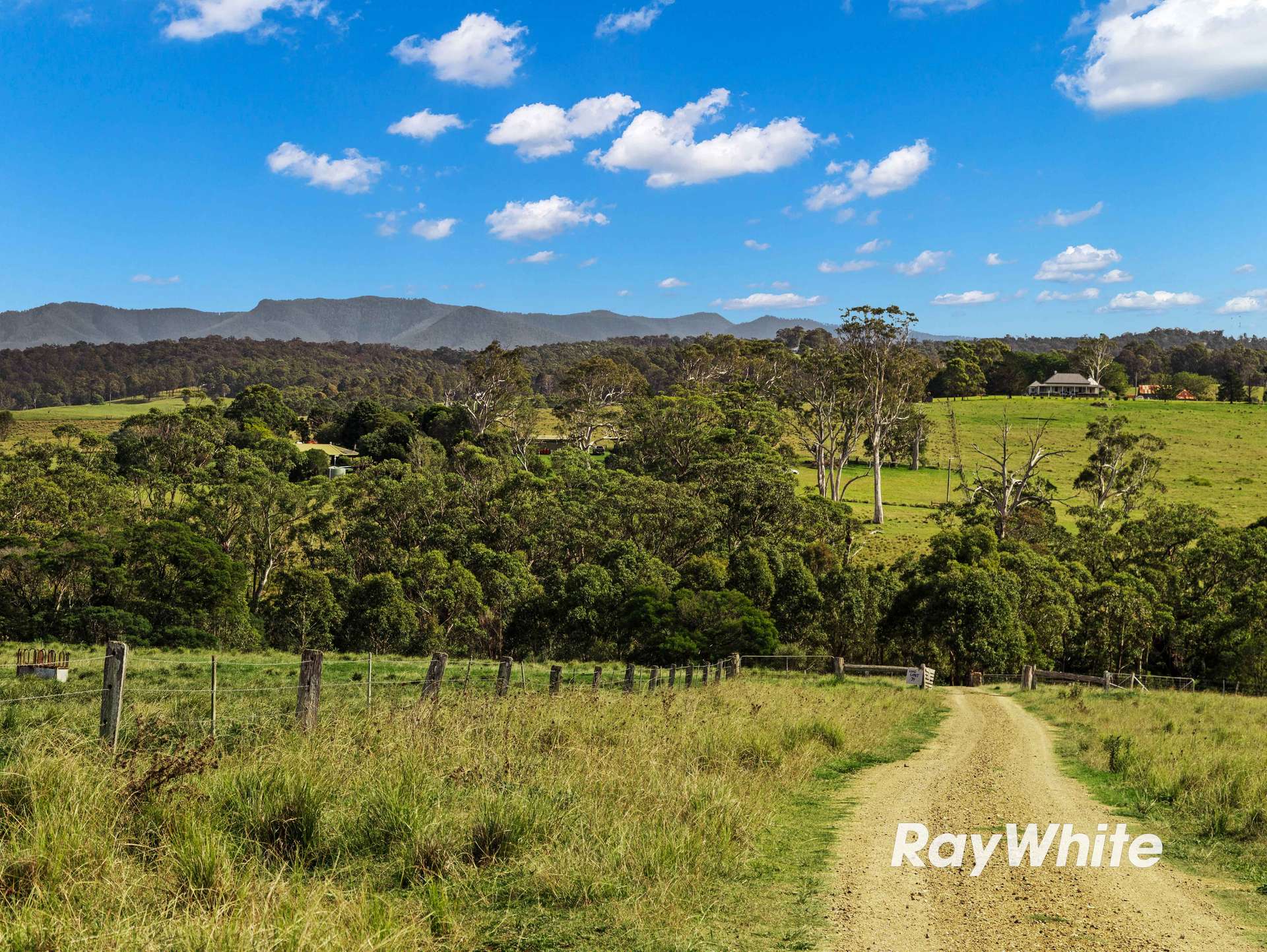 Bergalia For Sale by Farmbuy.com - image 17