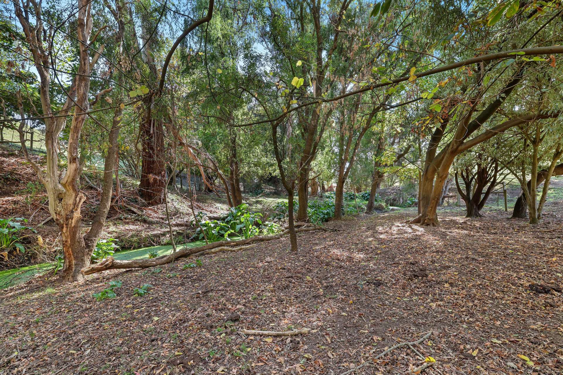 2130 Westernport Road, Ripplebrook For Sale by Farmbuy.com - image 17