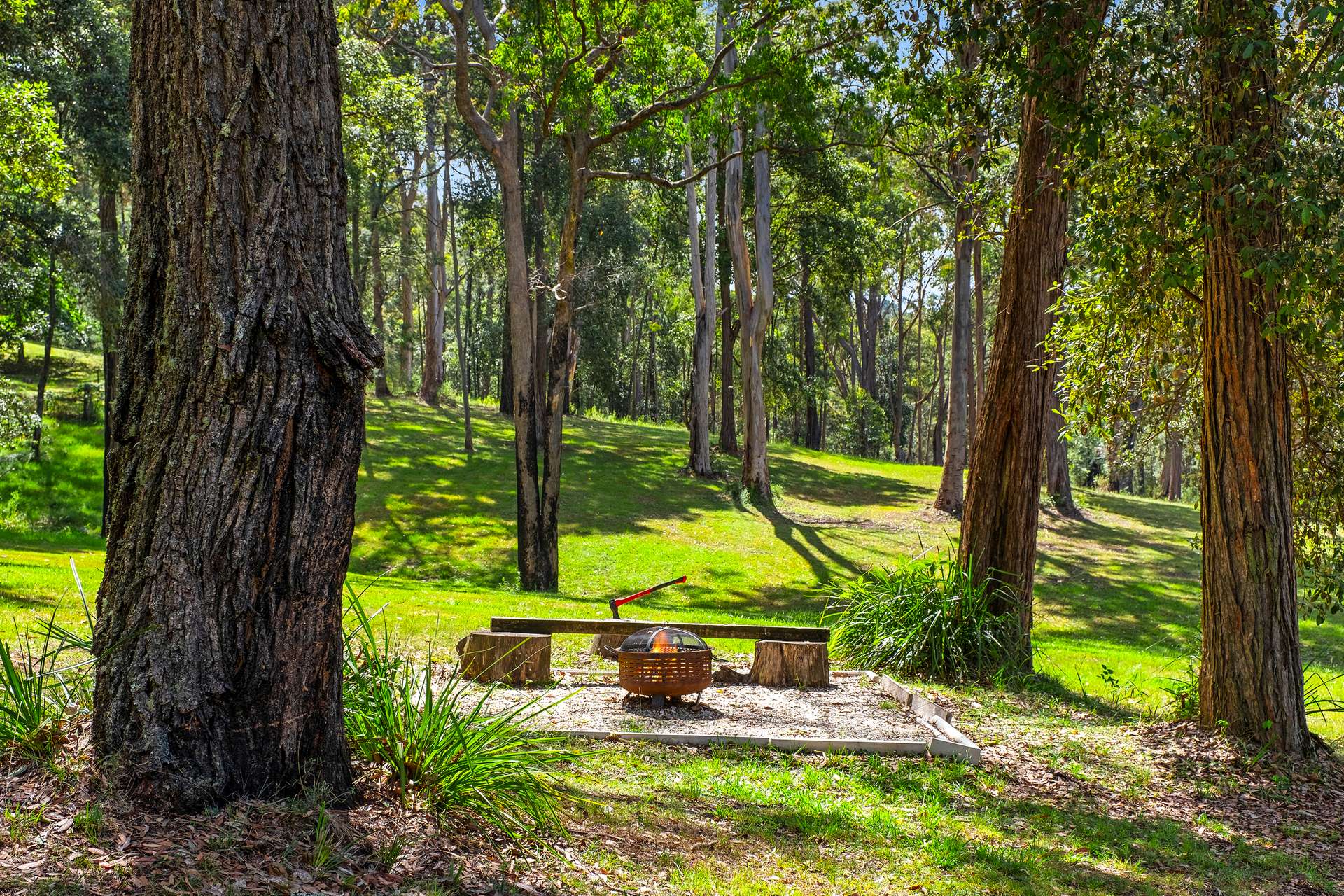1 Sams Way, Mountain Lagoon Sold by Farmbuy.com - image 9