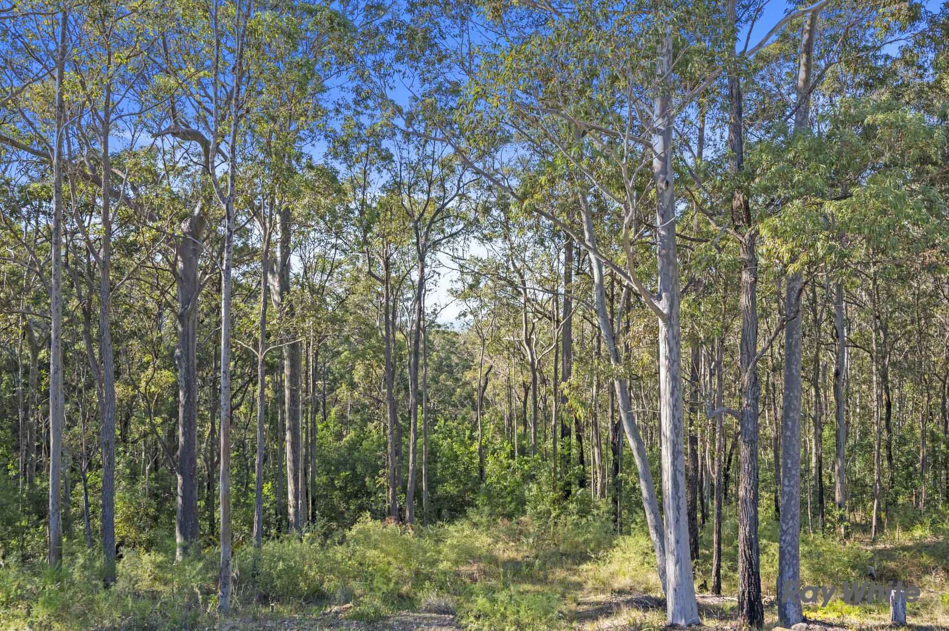 288 Pollwombra Road, Moruya For Sale by Farmbuy.com - image 18