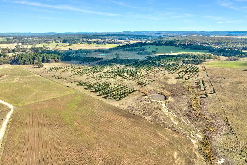 609 Jacqua Road, Windellama NSW 2580