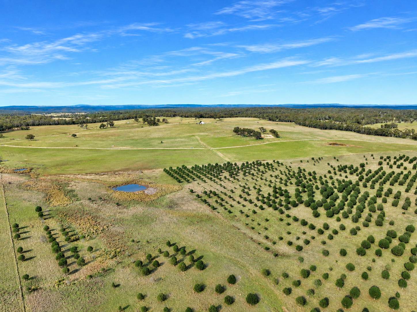 609 Jacqua Road, Windellama For Sale by Farmbuy.com - image 7