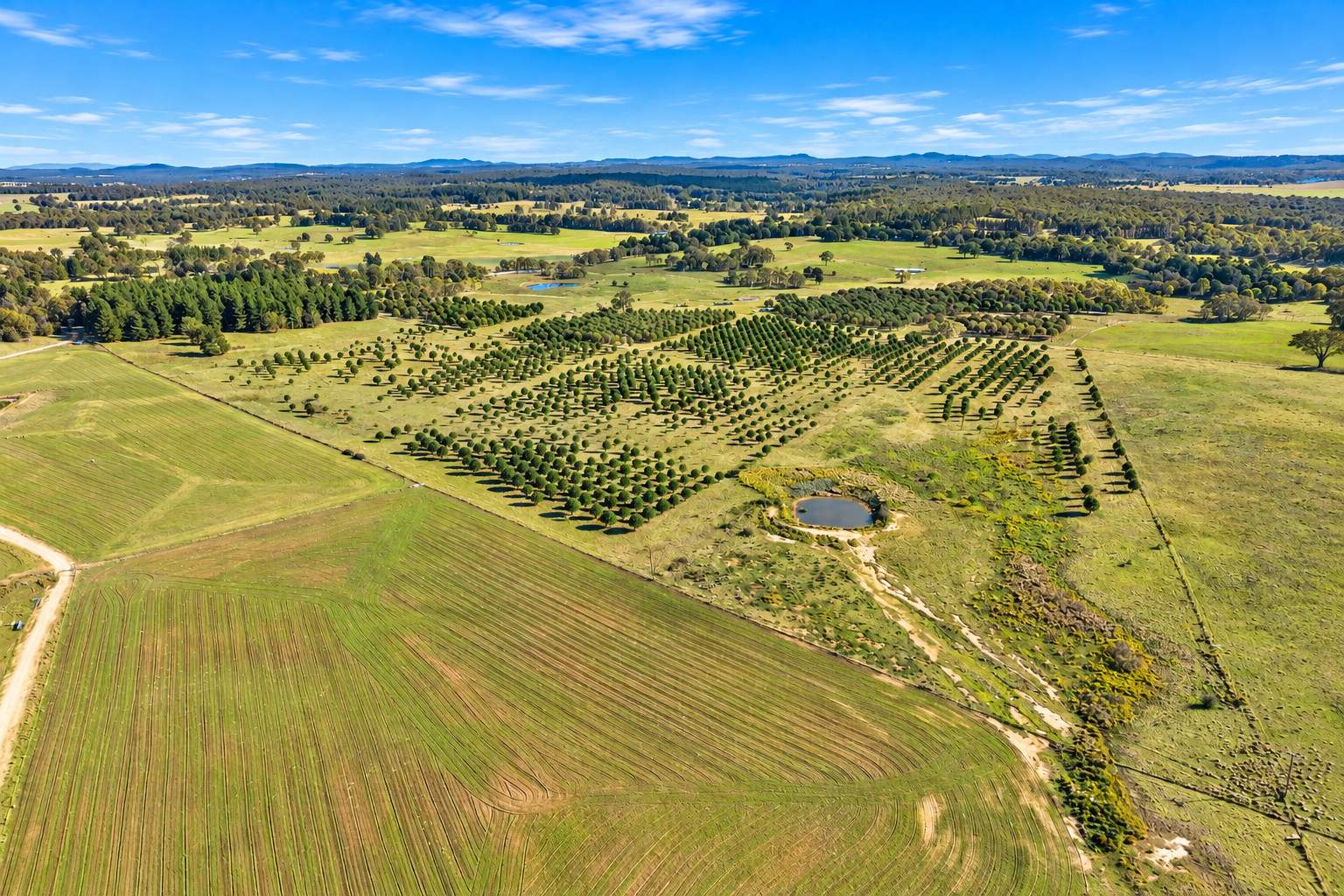 609 Jacqua Road, Windellama For Sale by Farmbuy.com - image 5