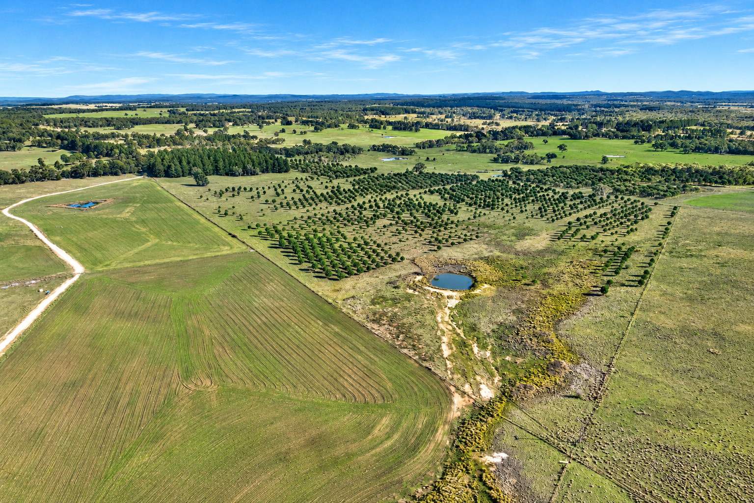 609 Jacqua Road, Windellama For Sale by Farmbuy.com - image 9