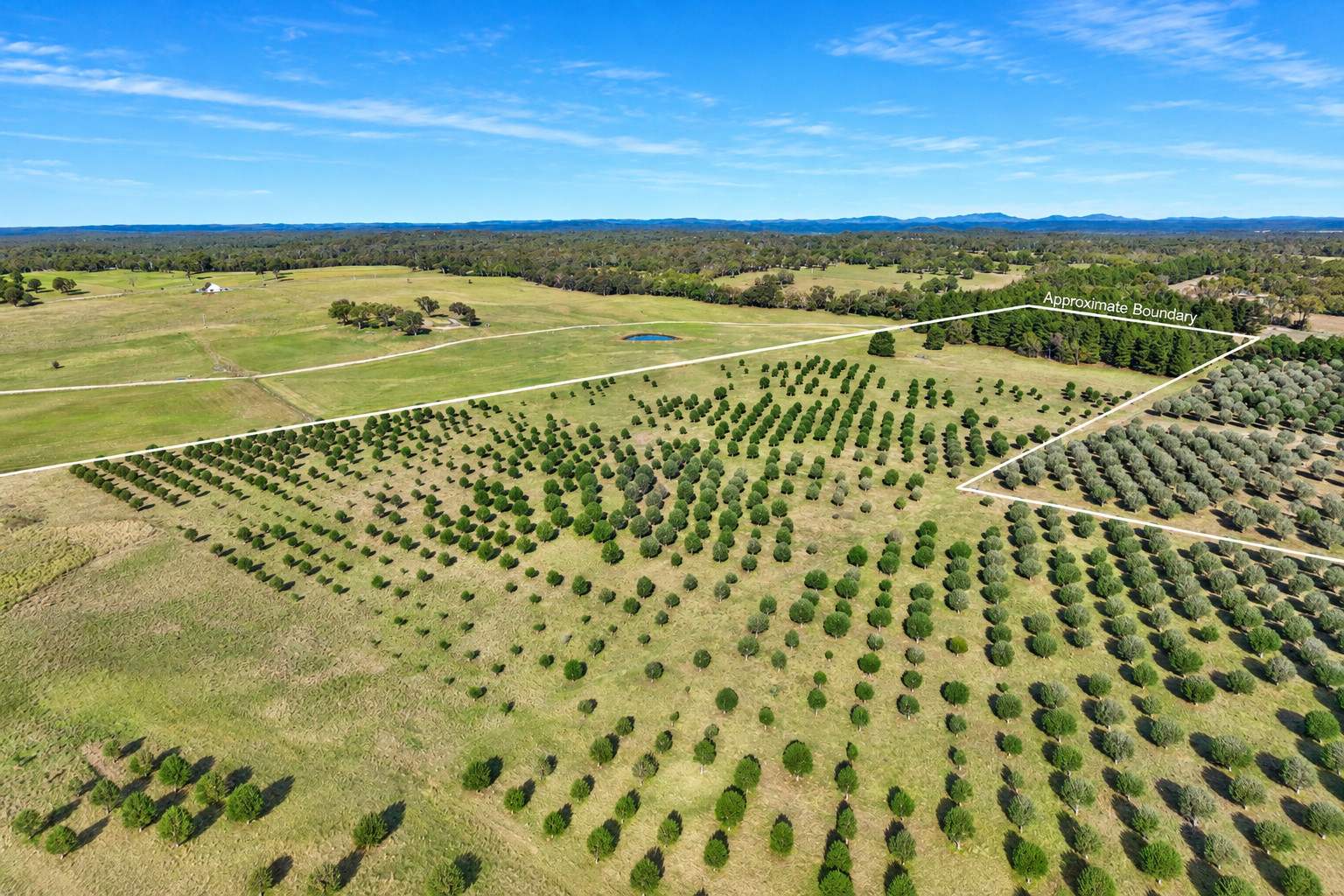 609 Jacqua Road, Windellama For Sale by Farmbuy.com - image 10